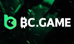 Understanding the bc.game shitcode An Insight into Online Gaming